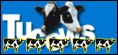 5 cows on Tucows Office!